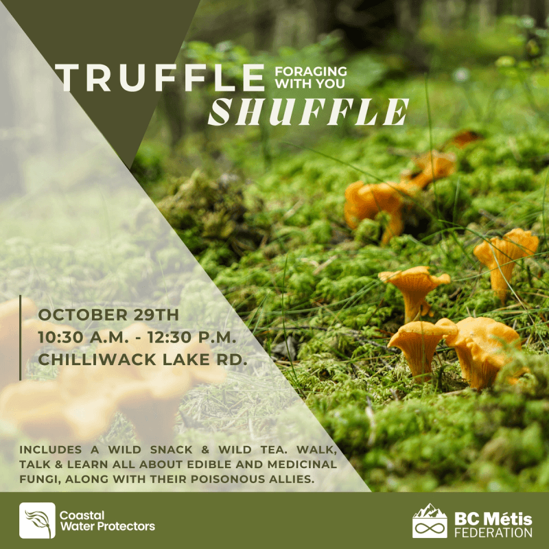 Truffle Shuffle: Foraging with You